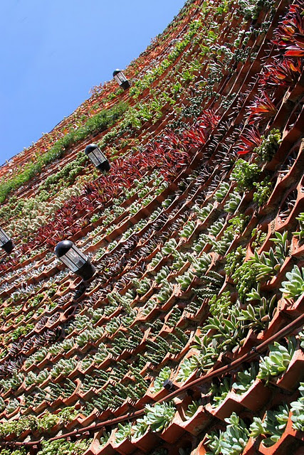 ecobin