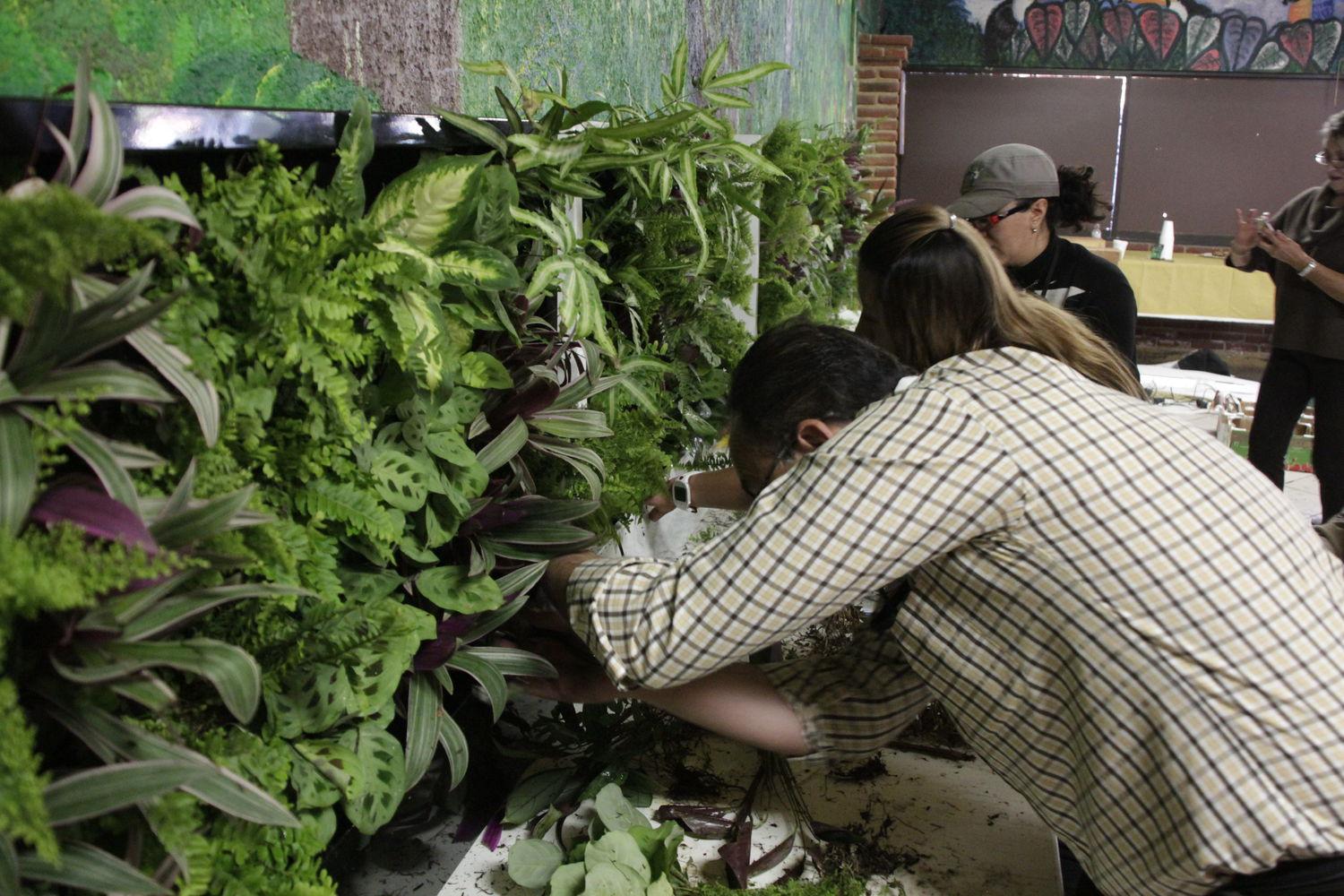 cursos de jardinería vertical jardines verticales