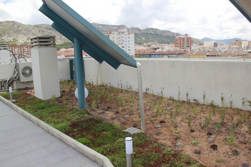 cubierta vegetal villena sedum tepe césped cántir crasas aromáticas