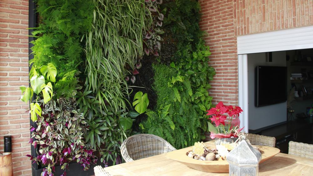 jardín vertical interior alicante jardines verticales interiores ecosistema vertical pared verde green wall