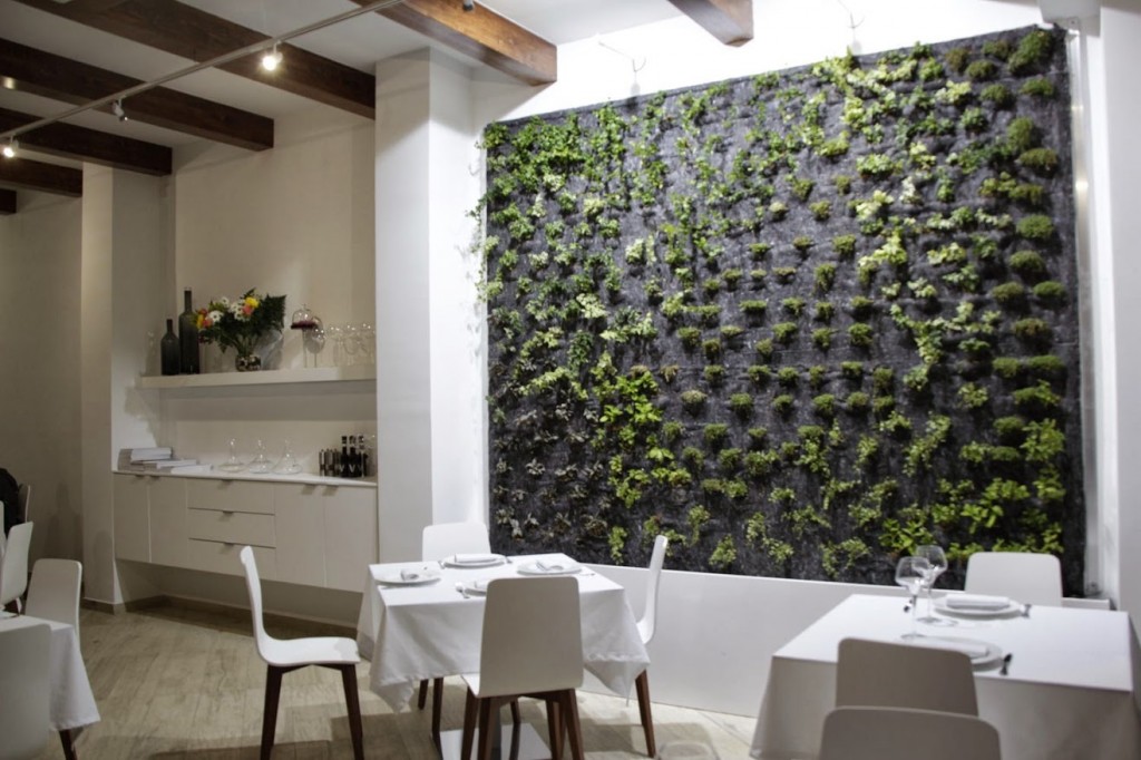 jardín vertical f+p guardamar alicante jasdines verticales