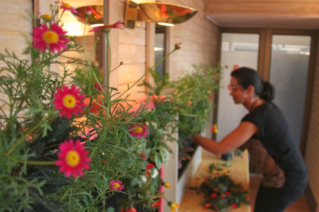 Curso de jardines verticales