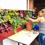 Curso de jardines verticales en Bogotá, un éxito