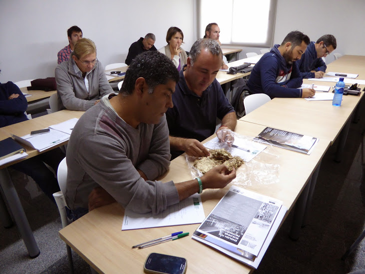 curso de jardines verticales