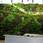 Los beneficios de un jardín vertical interior