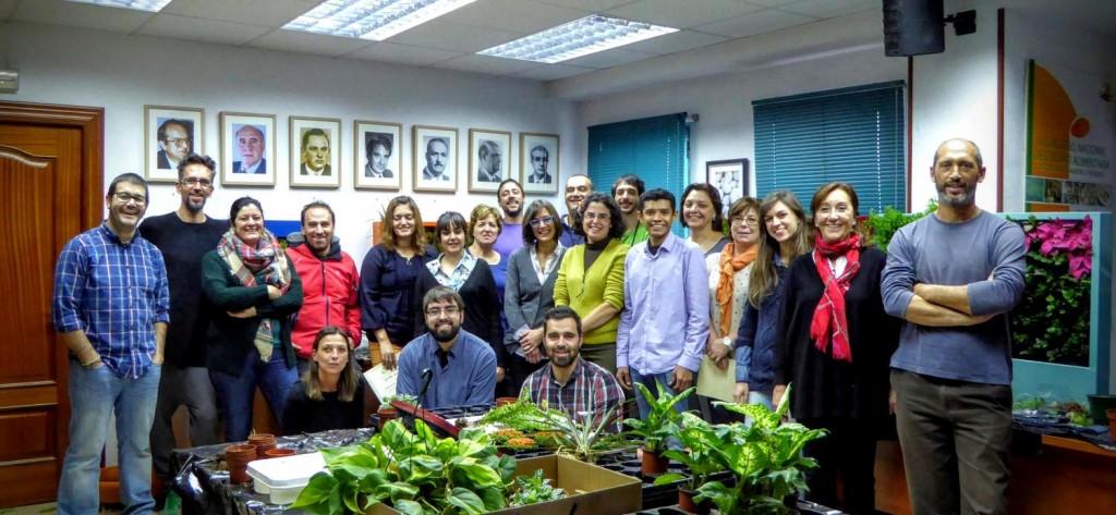 Curso de Jardines verticales en Madrid