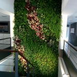 Los beneficios de un jardín vertical interior