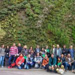 Curso de Jardines Verticales y Cubiertas Vegetales en Madrid
