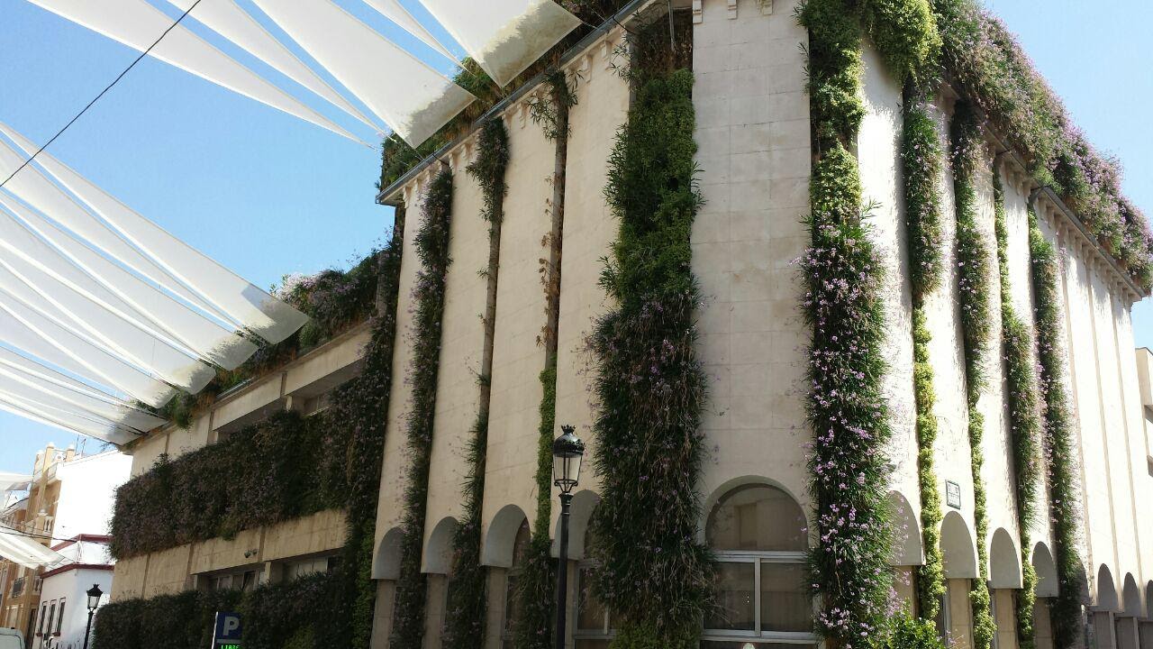 Jardín vertical en Lucena, Córdoba