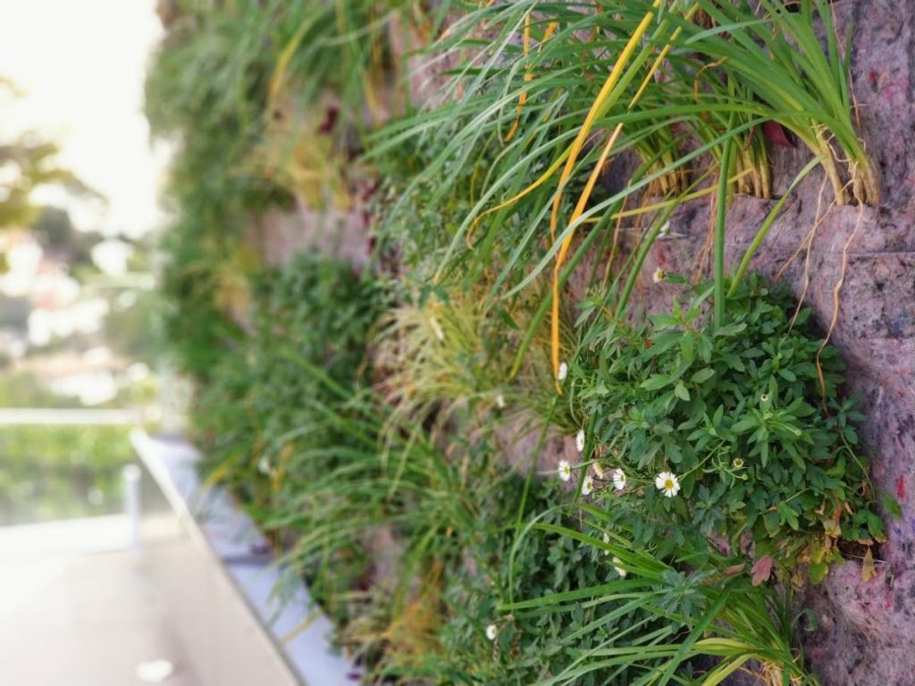 Jardines verticales en Mallorca