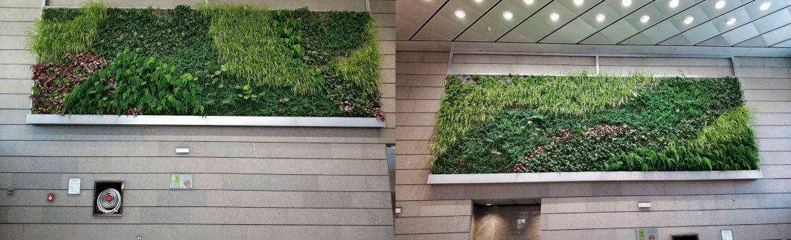 Alicante Forestal - Proyectos de Jardinería - Paisajismo - Jardines