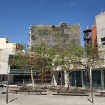 Rehabilitación del jardín vertical de San Vicente del Raspeig, Alicante