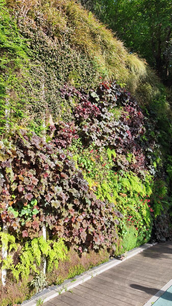Líneas de diseño curvo integradas en el jardín vertical de Madrid